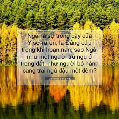 Picture 07 - Giê-rê-mi-a 14:8 VIE - Ngài là sự trông cậy của Y-sơ-ra-ên, - Bible Verse Picture