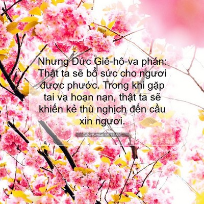 Picture 07 - Giê-rê-mi-a 15:11 VIE - Nhưng Đức Giê-hô-va phán: Thật ta sẽ - Bible Verse Picture