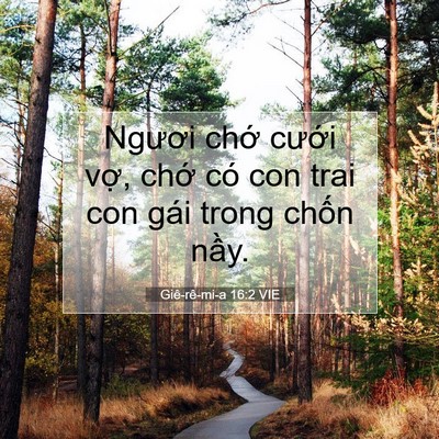 Picture 07 - Giê-rê-mi-a 16:2 VIE - Ngươi chớ cưới vợ, chớ có con trai - Bible Verse Picture