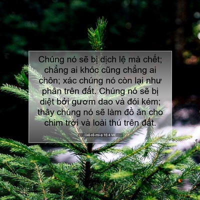 Picture 07 - Giê-rê-mi-a 16:4 VIE - Chúng nó sẽ bị dịch lệ mà chết; - Bible Verse Picture