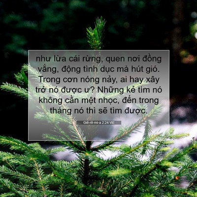 Picture 07 - Giê-rê-mi-a 2:24 VIE - như lừa cái rừng, quen nơi đồng vắng, - Bible Verse Picture