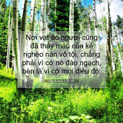 Picture 07 - Giê-rê-mi-a 2:34 VIE - Nơi vạt áo ngươi cũng đã thấy máu - Bible Verse Picture