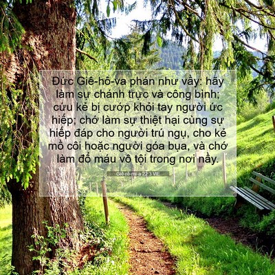 Picture 07 - Giê-rê-mi-a 22:3 VIE - Đức Giê-hô-va phán như vầy: hãy làm - Bible Verse Picture