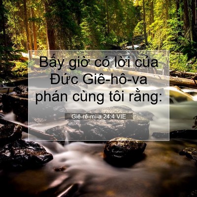 Picture 07 - Giê-rê-mi-a 24:4 VIE - Bấy giờ có lời của Đức Giê-hô-va - Bible Verse Picture