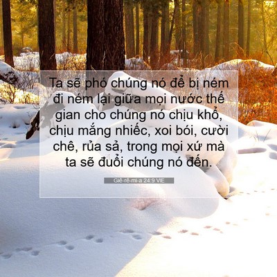 Picture 07 - Giê-rê-mi-a 24:9 VIE - Ta sẽ phó chúng nó để bị ném đi ném - Bible Verse Picture