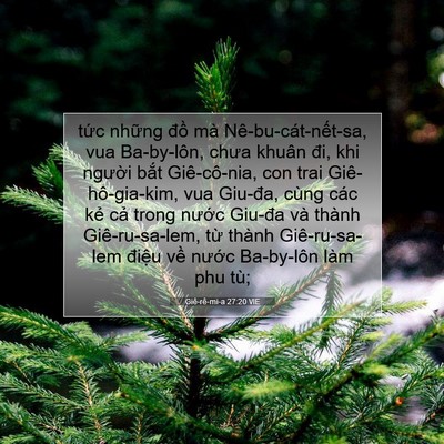 Picture 07 - Giê-rê-mi-a 27:20 VIE - tức những đồ mà Nê-bu-cát-nết-sa, vua - Bible Verse Picture