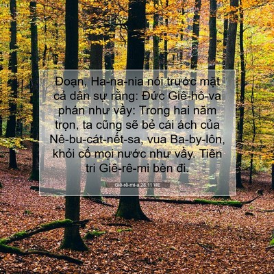 Picture 07 - Giê-rê-mi-a 28:11 VIE - Đoạn, Ha-na-nia nói trước mặt cả dân - Bible Verse Picture