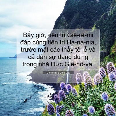 Picture 07 - Giê-rê-mi-a 28:5 VIE - Bấy giờ, tiên tri Giê-rê-mi đáp cùng - Bible Verse Picture