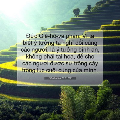 Picture 07 - Giê-rê-mi-a 29:11 VIE - Đức Giê-hô-va phán: Vì ta biết ý - Bible Verse Picture