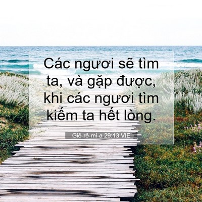 Picture 07 - Giê-rê-mi-a 29:13 VIE - Các ngươi sẽ tìm ta, và gặp được, - Bible Verse Picture