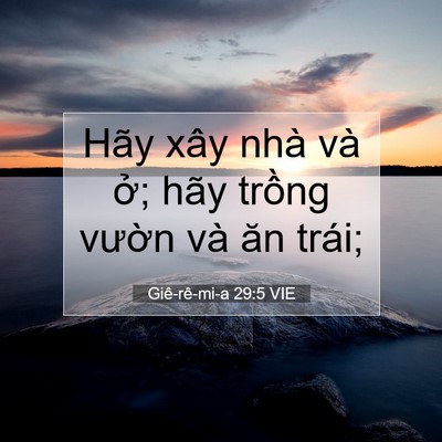 Picture 07 - Giê-rê-mi-a 29:5 VIE - Hãy xây nhà và ở; hãy trồng vườn và - Bible Verse Picture