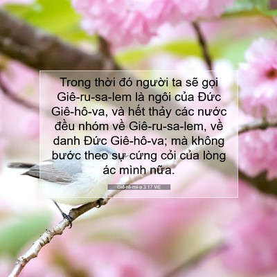 Picture 07 - Giê-rê-mi-a 3:17 VIE - Trong thời đó người ta sẽ gọi - Bible Verse Picture