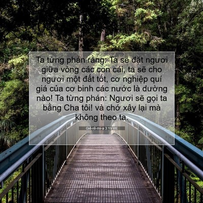 Picture 07 - Giê-rê-mi-a 3:19 VIE - Ta từng phán rằng: Ta sẽ đặt ngươi - Bible Verse Picture
