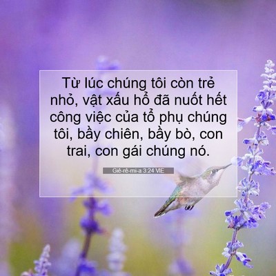 Picture 07 - Giê-rê-mi-a 3:24 VIE - Từ lúc chúng tôi còn trẻ nhỏ, vật - Bible Verse Picture