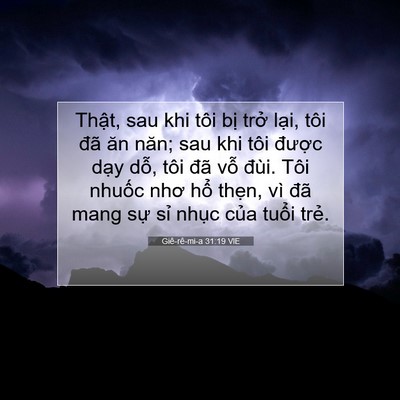 Picture 07 - Giê-rê-mi-a 31:19 VIE - Thật, sau khi tôi bị trở lại, tôi đã - Bible Verse Picture