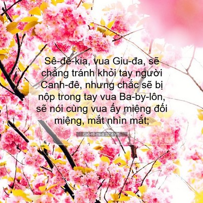 Picture 07 - Giê-rê-mi-a 32:4 VIE - Sê-đê-kia, vua Giu-đa, sẽ chẳng tránh - Bible Verse Picture