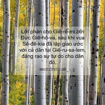 Picture 07 - Giê-rê-mi-a 34:8 VIE - Lời phán cho Giê-rê-mi bởi Đức - Bible Verse Picture