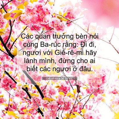 Picture 07 - Giê-rê-mi-a 36:19 VIE - Các quan trưởng bèn nói cùng Ba-rúc - Bible Verse Picture