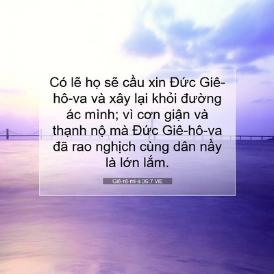 Picture 07 - Giê-rê-mi-a 36:7 VIE - Có lẽ họ sẽ cầu xin Đức Giê-hô-va - Bible Verse Picture