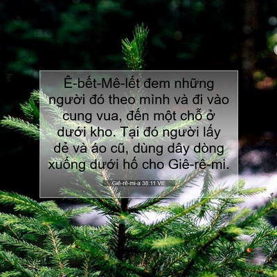 Picture 07 - Giê-rê-mi-a 38:11 VIE - Ê-bết-Mê-lết đem những người đó - Bible Verse Picture