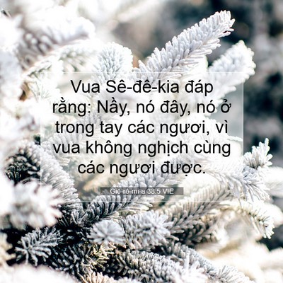 Picture 07 - Giê-rê-mi-a 38:5 VIE - Vua Sê-đê-kia đáp rằng: Nầy, nó đây, - Bible Verse Picture