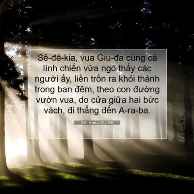 Picture 07 - Giê-rê-mi-a 39:4 VIE - Sê-đê-kia, vua Giu-đa cùng cả lính - Bible Verse Picture