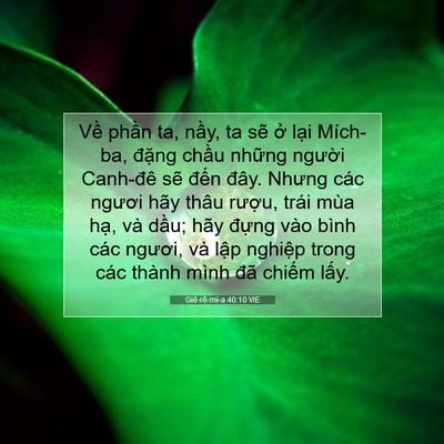 Picture 07 - Giê-rê-mi-a 40:10 VIE - Về phần ta, nầy, ta sẽ ở lại - Bible Verse Picture
