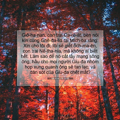 Picture 07 - Giê-rê-mi-a 40:15 VIE - Giô-ha-nan, con trai Ca-rê-át, bèn nói kín - Bible Verse Picture
