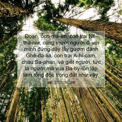 Picture 07 - Giê-rê-mi-a 41:2 VIE - Đoạn, ỗch-ma-ên, con trai Nê-tha-nia, - Bible Verse Picture
