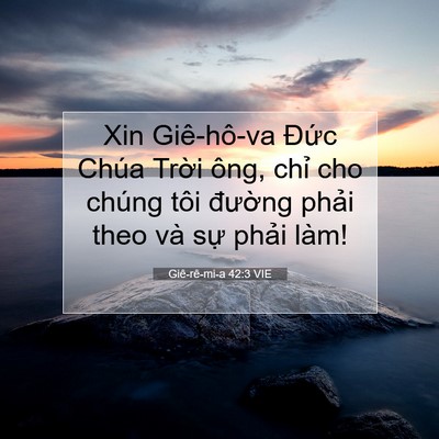 Picture 07 - Giê-rê-mi-a 42:3 VIE - Xin Giê-hô-va Đức Chúa Trời ông, chỉ - Bible Verse Picture