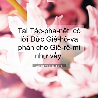 Picture 07 - Giê-rê-mi-a 43:8 VIE - Tại Tác-pha-nết, có lời Đức - Bible Verse Picture
