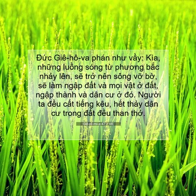 Picture 07 - Giê-rê-mi-a 47:2 VIE - Đức Giê-hô-va phán như vầy: Kìa, - Bible Verse Picture