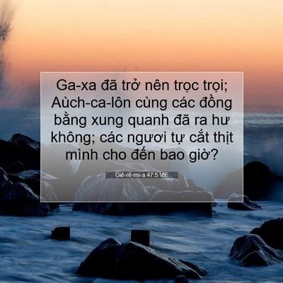Picture 07 - Giê-rê-mi-a 47:5 VIE - Ga-xa đã trở nên trọc trọi; - Bible Verse Picture