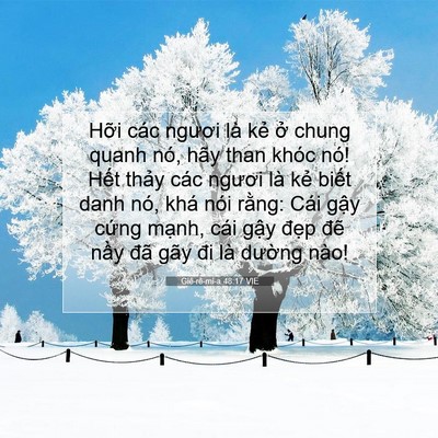 Picture 07 - Giê-rê-mi-a 48:17 VIE - Hỡi các ngươi là kẻ ở chung quanh nó, - Bible Verse Picture