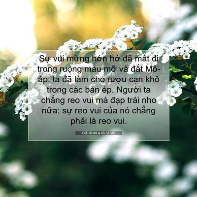 Picture 07 - Giê-rê-mi-a 48:33 VIE - Sự vui mừng hớn hở đã mất đi trong - Bible Verse Picture