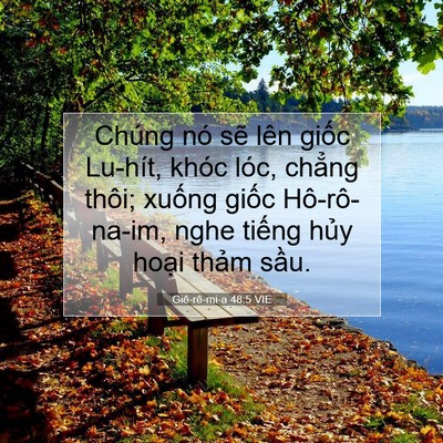 Picture 07 - Giê-rê-mi-a 48:5 VIE - Chúng nó sẽ lên giốc Lu-hít, khóc lóc, - Bible Verse Picture