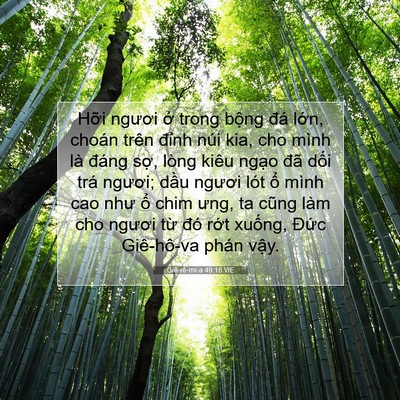 Picture 07 - Giê-rê-mi-a 49:16 VIE - Hỡi ngươi ở trong bộng đá lớn, choán - Bible Verse Picture