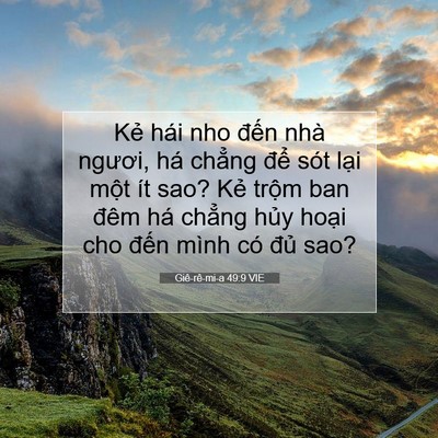 Picture 07 - Giê-rê-mi-a 49:9 VIE - Kẻ hái nho đến nhà ngươi, há chẳng - Bible Verse Picture