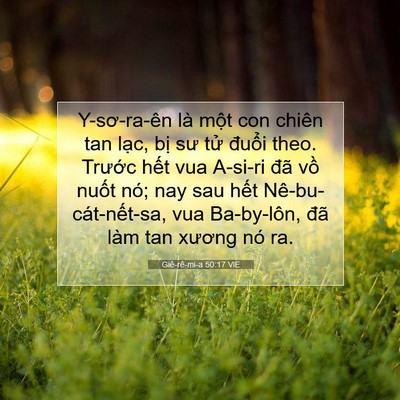 Picture 07 - Giê-rê-mi-a 50:17 VIE - Y-sơ-ra-ên là một con chiên tan lạc, bị - Bible Verse Picture