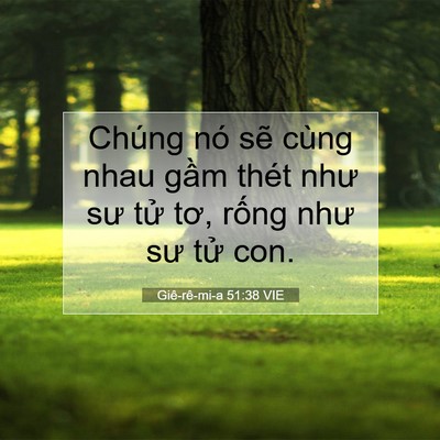 Picture 07 - Giê-rê-mi-a 51:38 VIE - Chúng nó sẽ cùng nhau gầm thét như sư - Bible Verse Picture