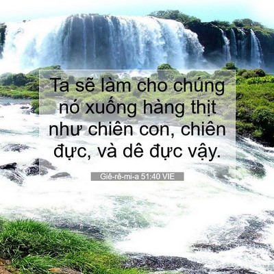 Picture 07 - Giê-rê-mi-a 51:40 VIE - Ta sẽ làm cho chúng nó xuống hàng thịt - Bible Verse Picture