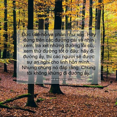 Picture 07 - Giê-rê-mi-a 6:16 VIE - Đức Giê-hô-va phán như vầy: Hãy đứng - Bible Verse Picture