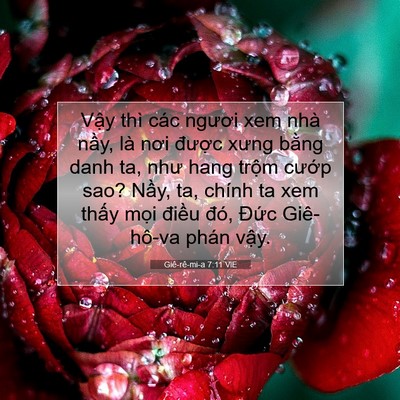 Picture 07 - Giê-rê-mi-a 7:11 VIE - Vậy thì các ngươi xem nhà nầy, là nơi - Bible Verse Picture