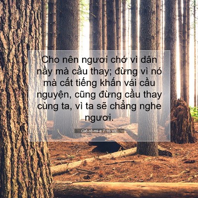 Picture 07 - Giê-rê-mi-a 7:16 VIE - Cho nên ngươi chớ vì dân nầy mà cầu - Bible Verse Picture