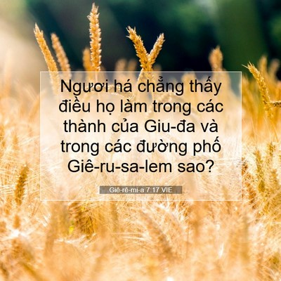 Picture 07 - Giê-rê-mi-a 7:17 VIE - Ngươi há chẳng thấy điều họ làm - Bible Verse Picture