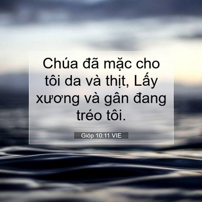Picture 07 - Gióp 10:11 VIE - Chúa đã mặc cho tôi da và thịt, Lấy - Bible Verse Picture