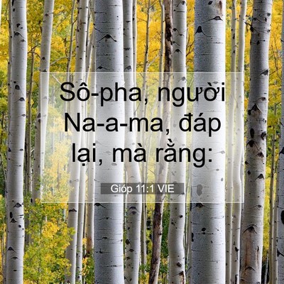 Picture 07 - Gióp 11:1 VIE - Sô-pha, người Na-a-ma, đáp lại, mà - Bible Verse Picture