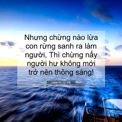 Picture 07 - Gióp 11:12 VIE - Nhưng chừng nào lừa con rừng sanh ra làm - Bible Verse Picture