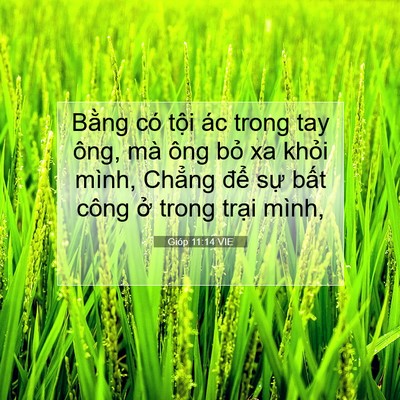 Picture 07 - Gióp 11:14 VIE - Bằng có tội ác trong tay ông, mà ông - Bible Verse Picture