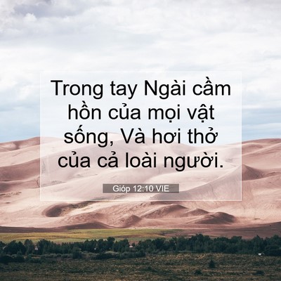 Picture 07 - Gióp 12:10 VIE - Trong tay Ngài cầm hồn của mọi vật - Bible Verse Picture